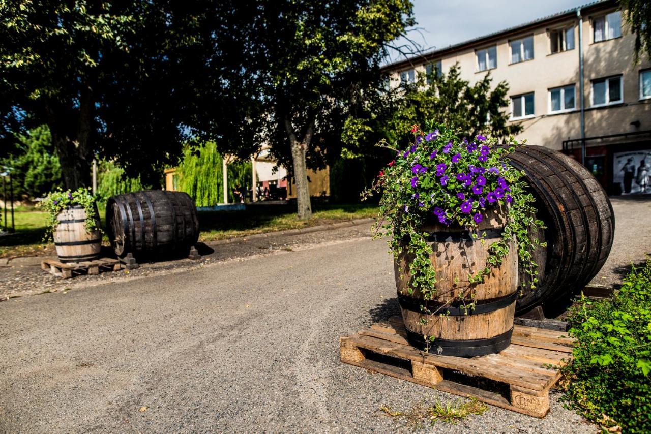Ubytovani Ve Vinarstvi Zd Nemcicky Eksteriør bilde