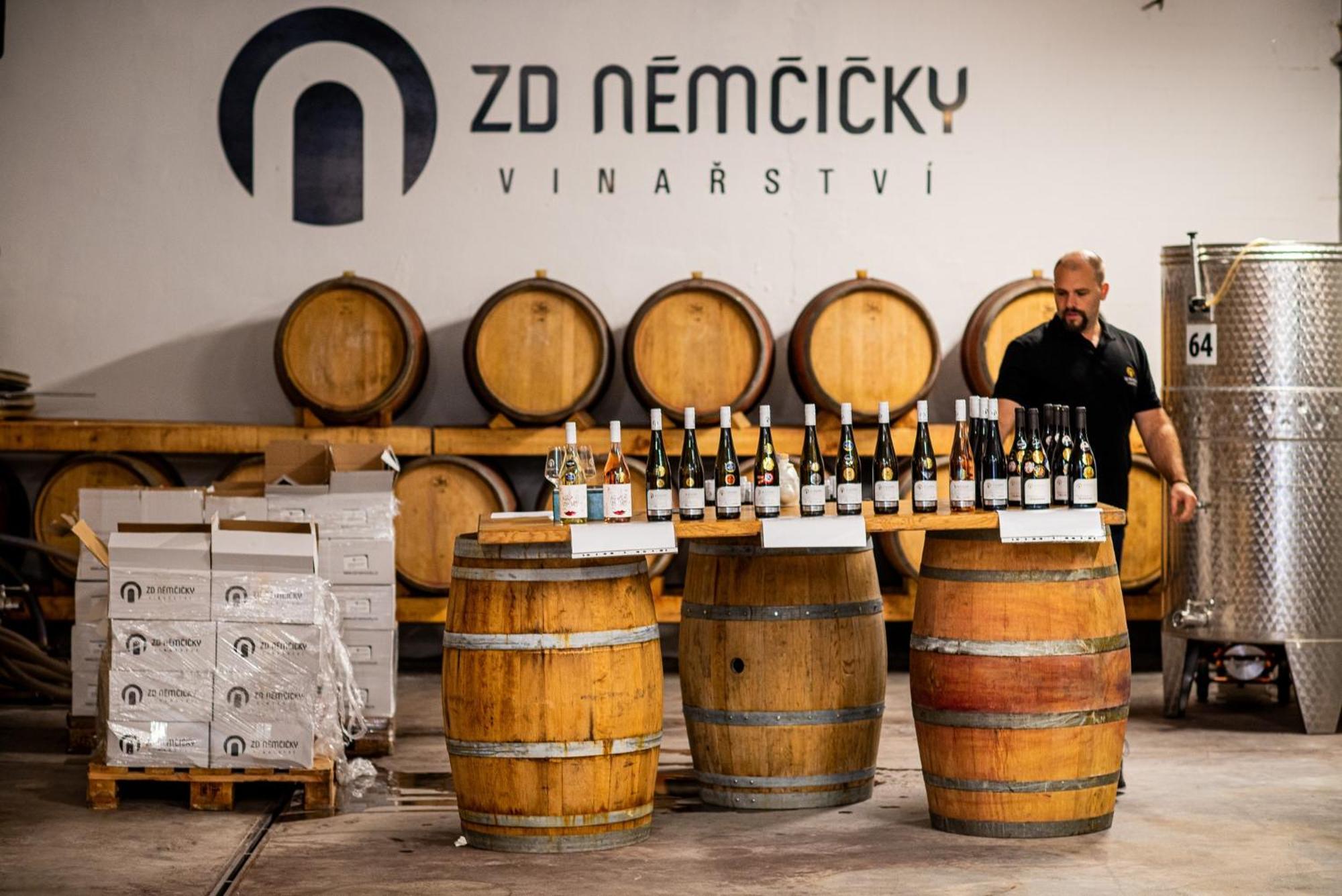 Ubytovani Ve Vinarstvi Zd Nemcicky Eksteriør bilde